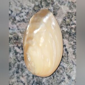 Mother-of-Pearl Shell